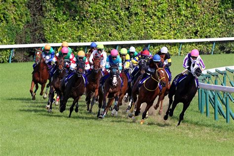 東京都競馬 株価掲示板で何が話題に？驚くべき情報満載！